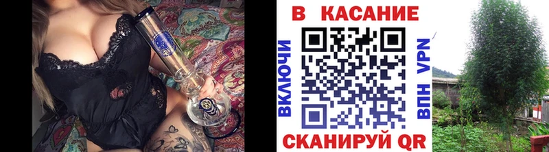 Купить наркотик аптеки Киселёвск Каннабис  МЕГА как зайти  ГАШИШ  Меф мяу мяу  МДМА 