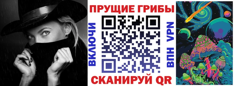 сколько стоит  blacksprut рабочий сайт  Псилоцибиновые грибы Magic Shrooms  Киселёвск 