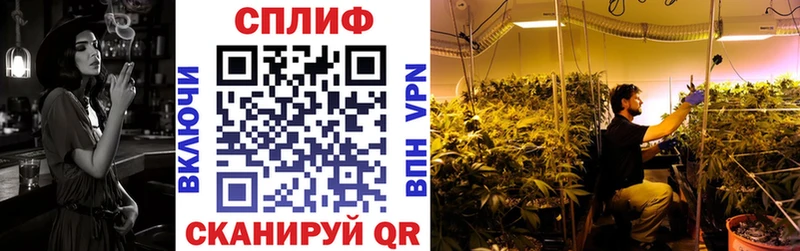 как найти наркотики  Киселёвск  Бошки марихуана OG Kush 